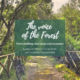 Forest Bathing Salento