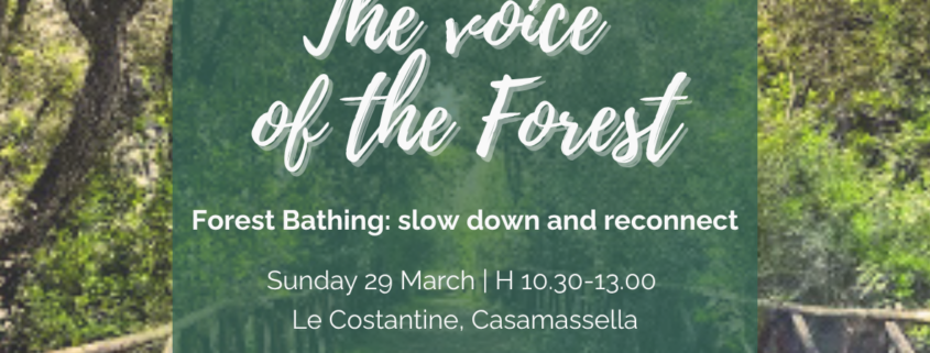 Forest Bathing Salento